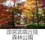 国営武蔵丘陵森林公園