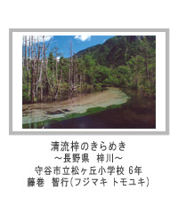 清流梓のきらめき　藤巻　智行（フジマキトモユキ）