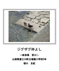 ジグザグ仲よし