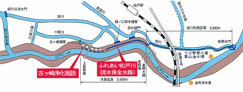 江戸川に放流するまで