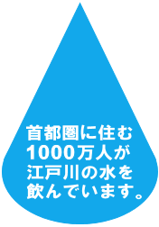 首都圏に住む1000万人が江戸川の水を飲んでいます。