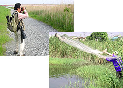 鳥類、魚類の調査のようす