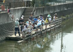 アンケート調査のようす（坂川栄橋付近）