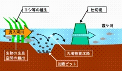 ウエットランドの概要