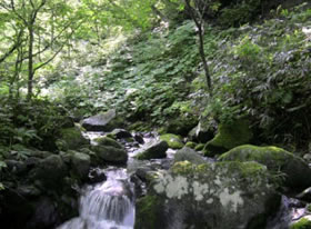 那珂川水源地域