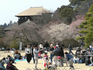 偕楽園(水戸市)