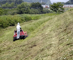 堤防の除草状況