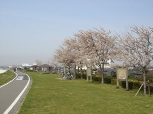 A4.川の一里塚（古ヶ崎）　（千葉県松戸市）