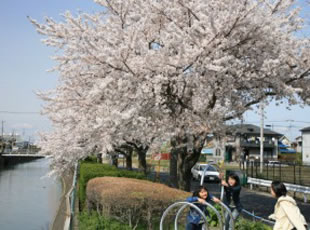 B5.坂川親水プロムナード　（千葉県松戸市）