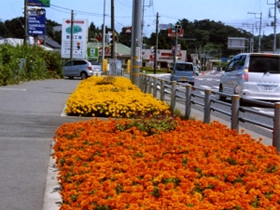 草花の植栽