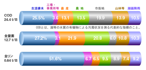 霞ヶ浦に流入する汚濁負荷割合グラフ