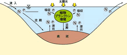 内部汚濁要因模式図