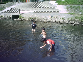坂川で遊ぶ子供たち（写真 千葉県提供）
