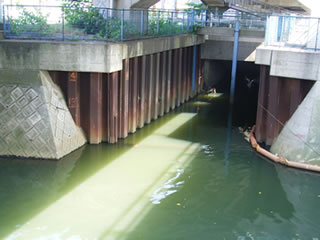 水質目標に届いていない川の例(長津川 松戸市中根地先)