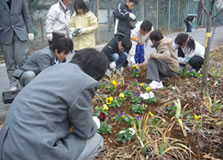 川沿いの植栽