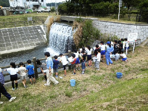 野々下水辺公園（H22.6.18）