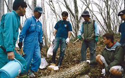 藤原地区遊歩道の整備・管理