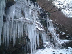 三十槌の氷柱