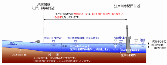 江戸川水閘門の操作による水位の影響範囲