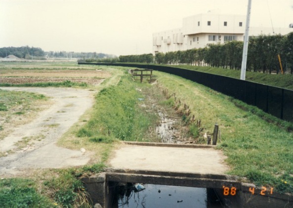 備前堤から下流側を望む（鈴木恒雄様提供）1988年（昭和63年）4月21日撮影