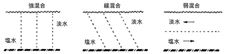 塩分遡上 （えんぶんそじょう） 図解