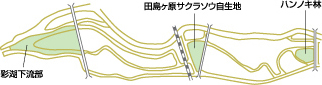 環境については？