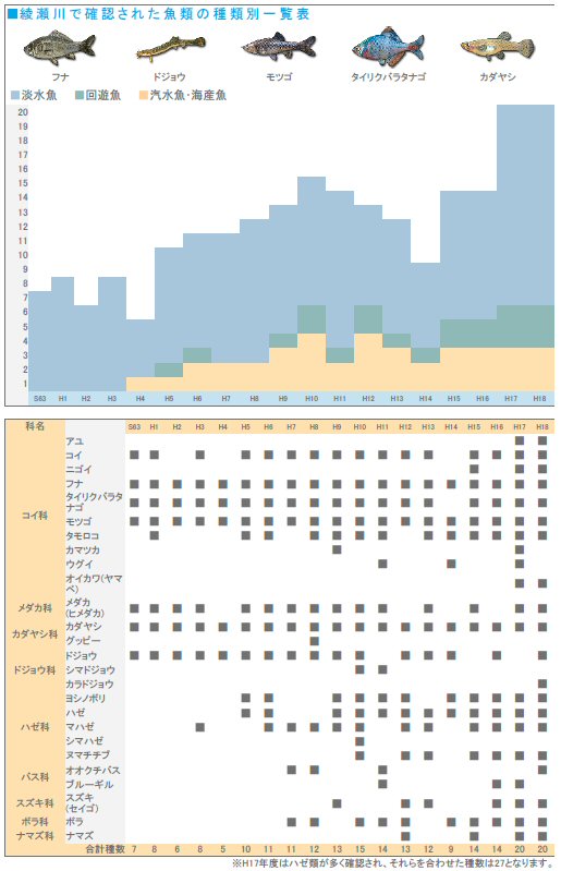 綾瀬川で確認された魚類の種類別一覧表