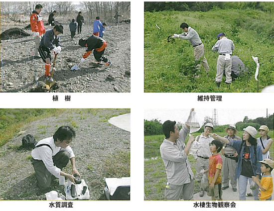 水棲生物観察会の様子