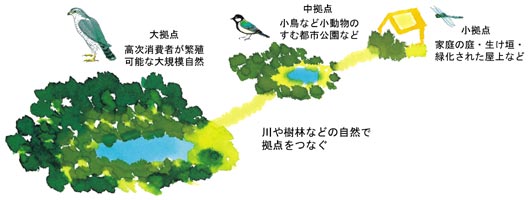 エコロジカルネットワークの考え方