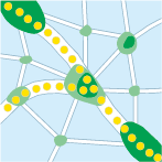 自然をつなぐネットワークの考え方 - 図3