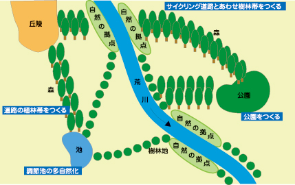 荒川における自然の回復へ向けた取組み