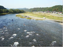 通常の放流量