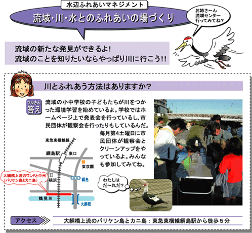 大綱橋上流のワンドと中州（バリケン島とカニ島）