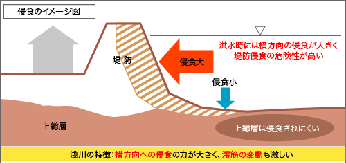 図　浅川の護岸における侵食のメカニズム