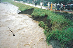 H3洪水 日野市新井地先