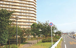高規格堤防上に整備された東京都住宅供給公社マンション（平成18年10月）