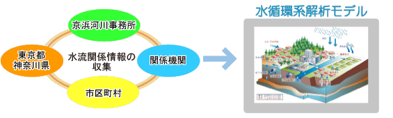 水循環系解析モデル