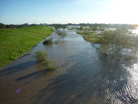 平成29年10月 台風21号出水の際の江戸川