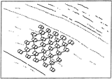 図　かご止め工