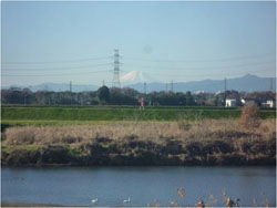 川島町より望む