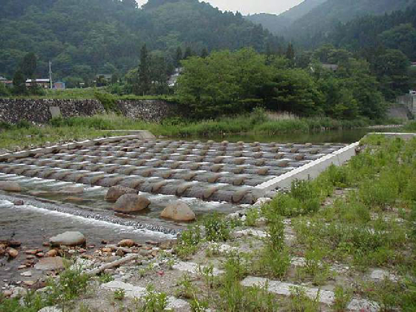 沼田市利根町平川：平川床固群