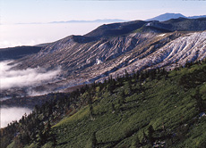 草津白根山（写真：宮崎禎治氏）