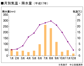 月別気温・降水量（平成17年）