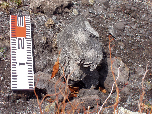 火口から北東約２．２Km（標高１６４０ｍ）付近に落下した噴石