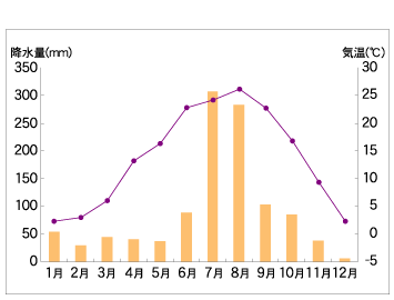 月別気温・降水量（平成17年）