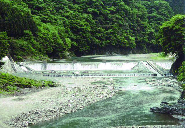 柏木砂防堰堤、魚道（神流町）