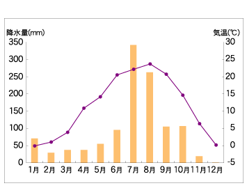 月別気温・降水量（平成17年）