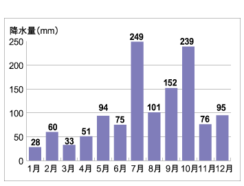 神流　月別平均降水量（平成17年）