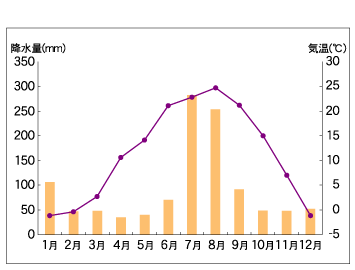 月別気温・降水量（平成17年）