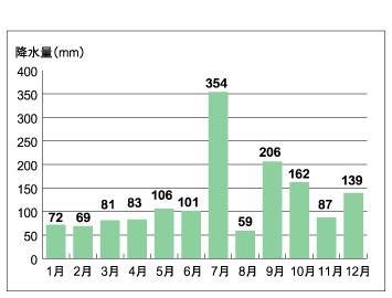 片品　月別平均降水量（平成17年）